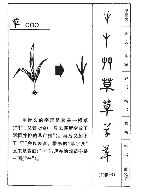 草字頭好字|草字头的汉字 寓意好草字头常用的字